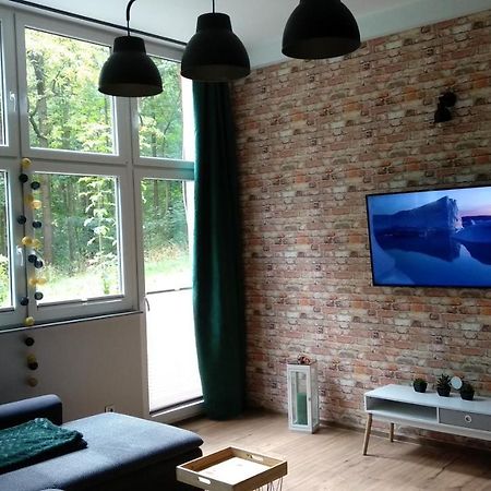 Apartament 5 Przy Parku Lesnym 波兰尼卡-兹德鲁伊 外观 照片