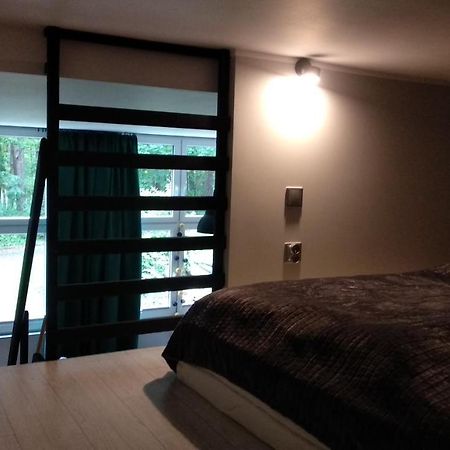 Apartament 5 Przy Parku Lesnym 波兰尼卡-兹德鲁伊 外观 照片