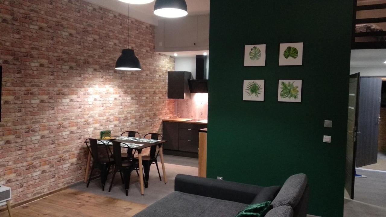 Apartament 5 Przy Parku Lesnym 波兰尼卡-兹德鲁伊 外观 照片