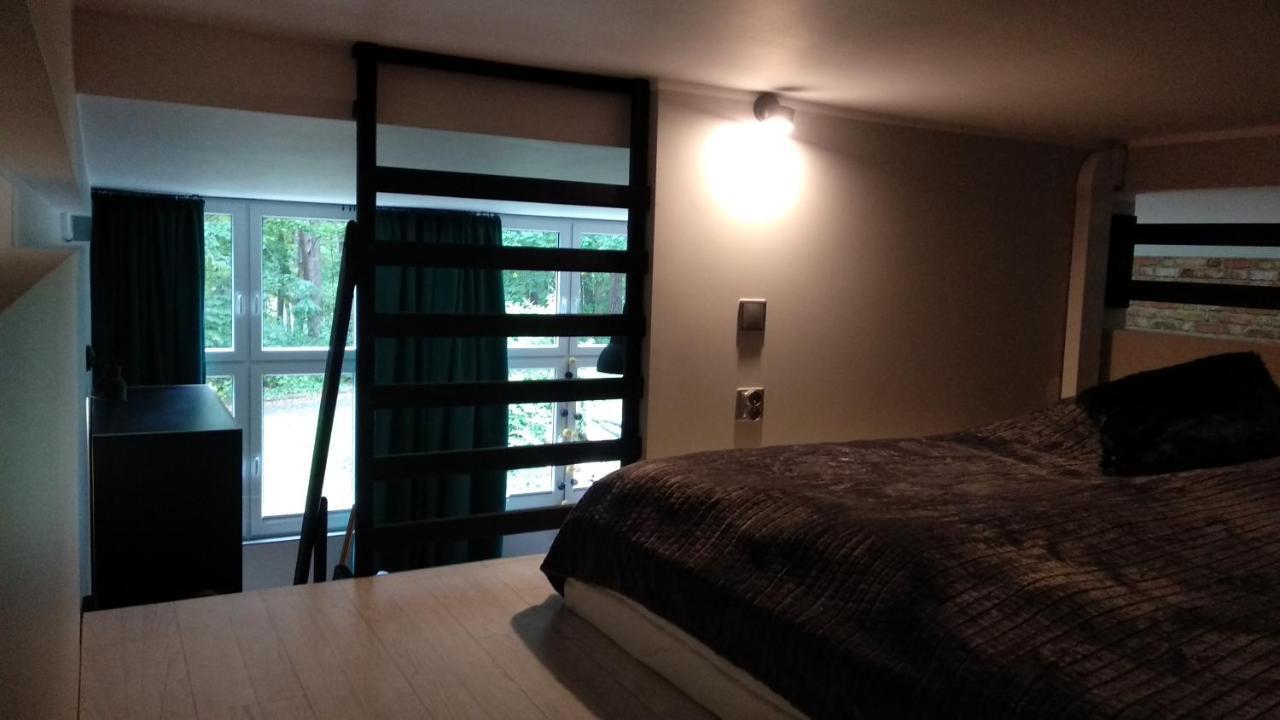 Apartament 5 Przy Parku Lesnym 波兰尼卡-兹德鲁伊 外观 照片