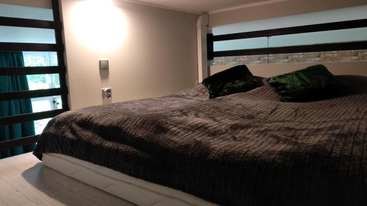 Apartament 5 Przy Parku Lesnym 波兰尼卡-兹德鲁伊 外观 照片